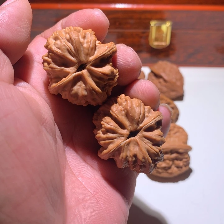 文玩核桃把件卢*人赤龙