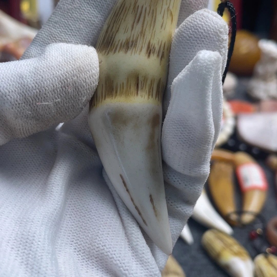 想***阳驼骨把件灰色牙牙8➕