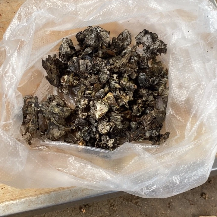 用***0大陆中国云南省石屏县中国大陆