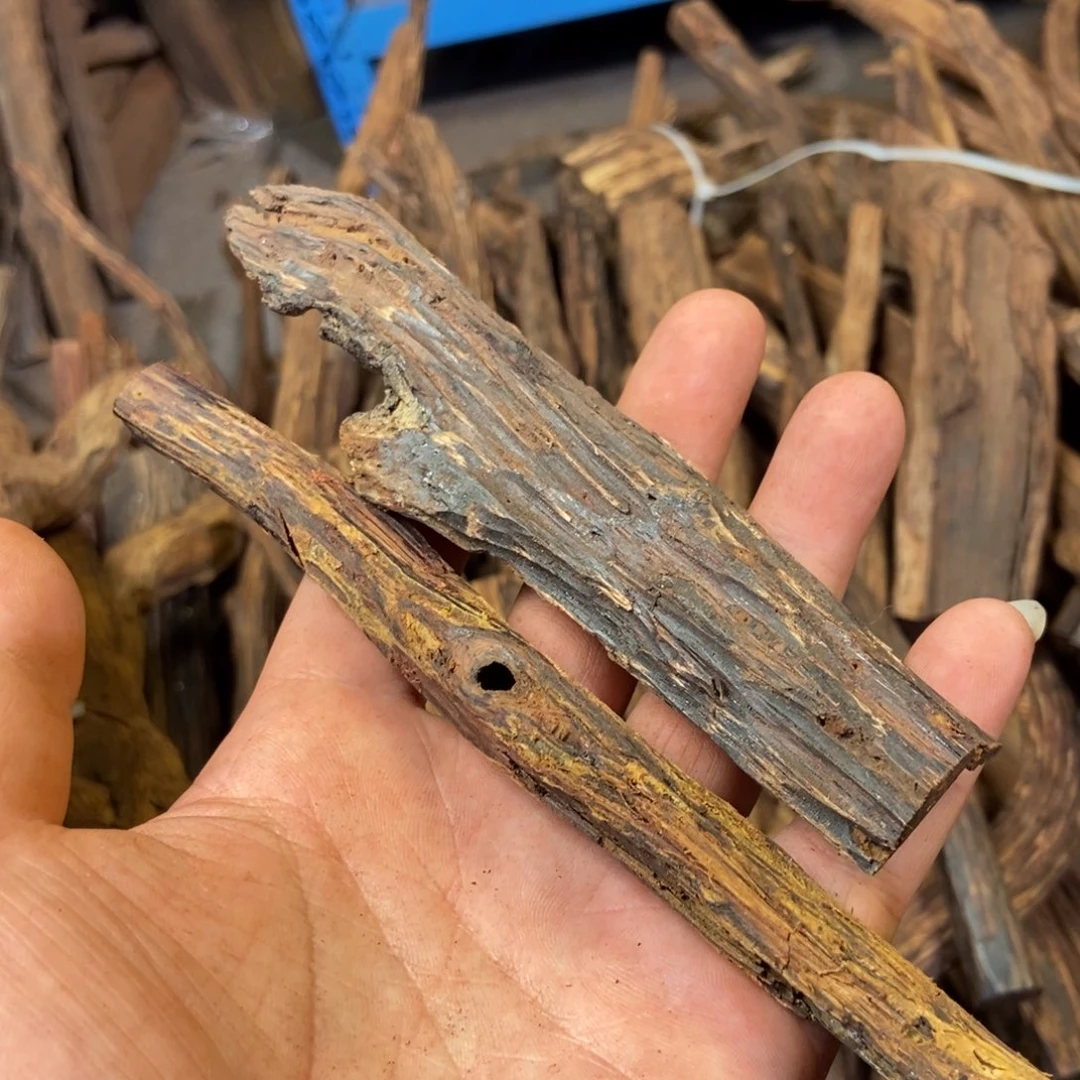木大*?海南降真香标本