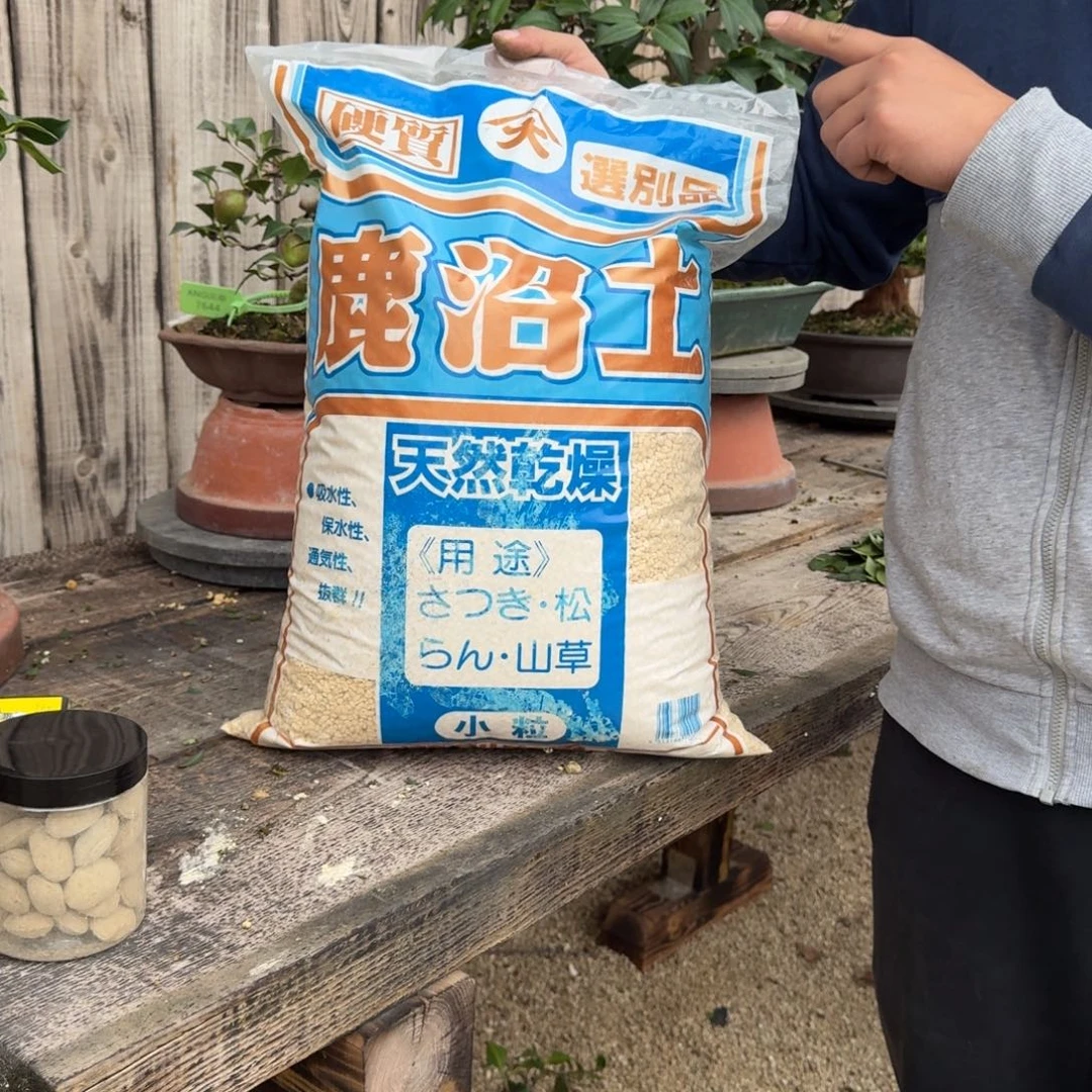 无花朵小粒鹿沼土3-6