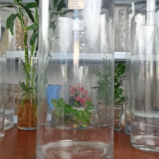 玻璃昌达玻璃直筒高度40口径20
