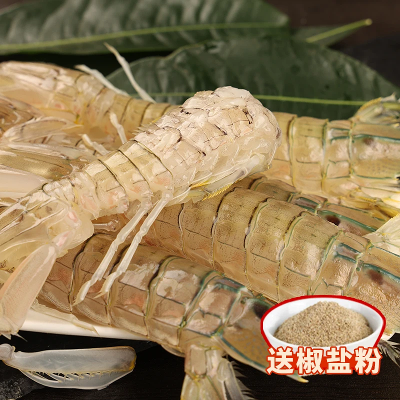 野生皮皮虾 鲜活蒸煮发货爬爬虾濑尿虾