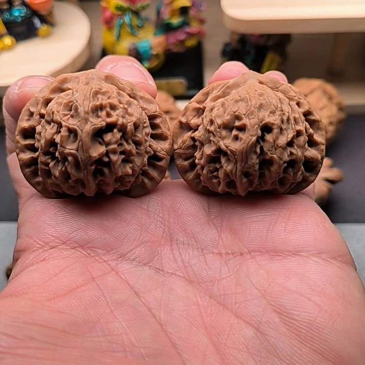 核桃不打药老款宫灯43尺