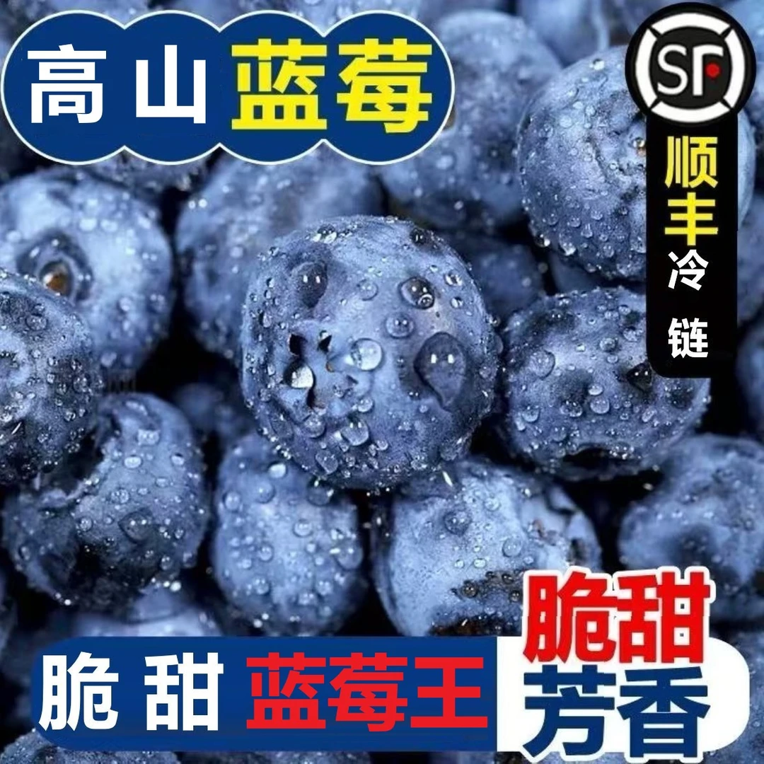 【顺丰冷运】新鲜花香串蓝莓现摘脆甜花青素水果净重当季新鲜水果