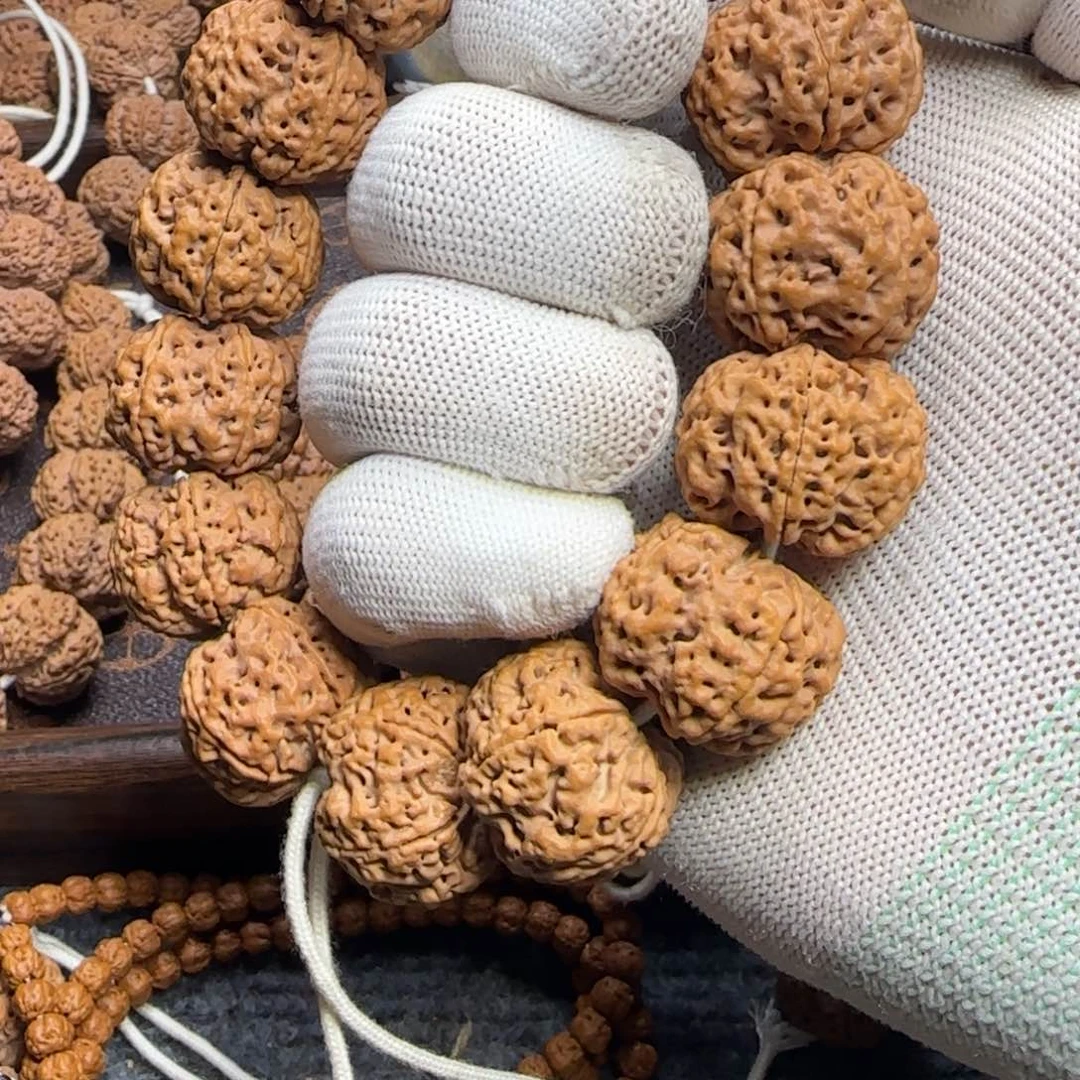 菩提逃**彩金刚菩提25梅花