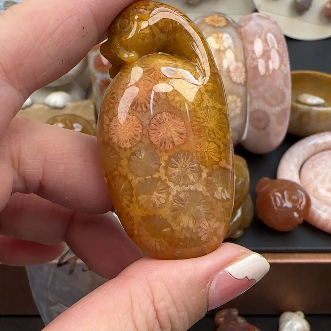 幸***️硅化珊瑚（珊瑚玉）未镶嵌颈饰