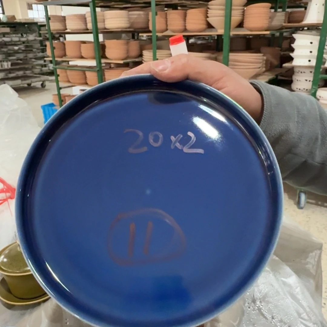 碟11 五花马工厂直播