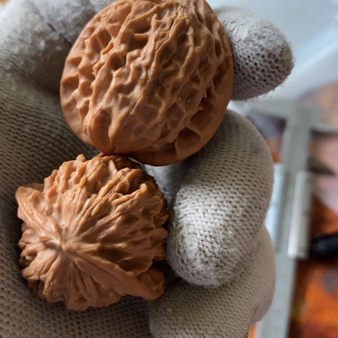 秦岭森林茂密和植被稀疏地