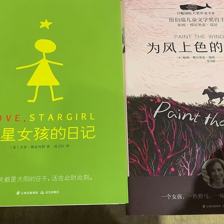 为风上色的女孩，星星女孩的日记