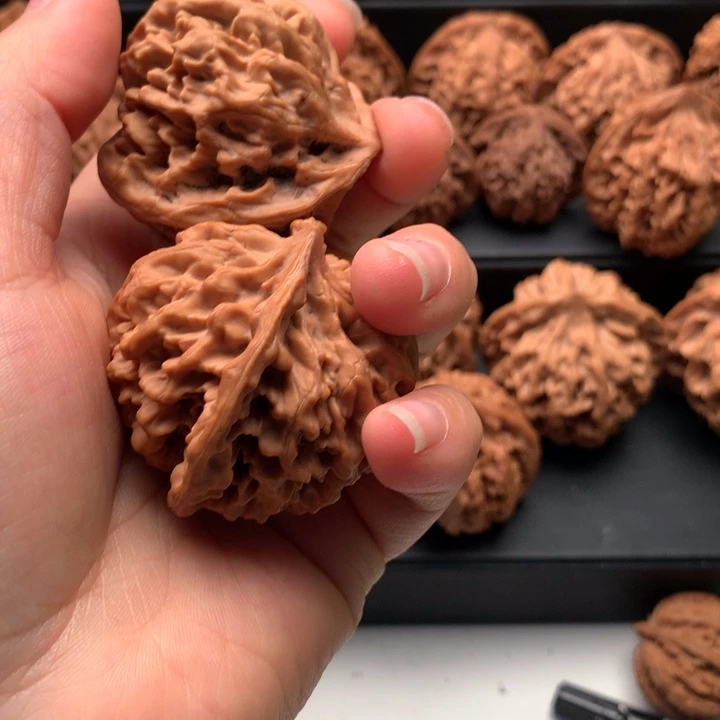 吊坠文玩核桃泡**弟秦岭野生核生物大花