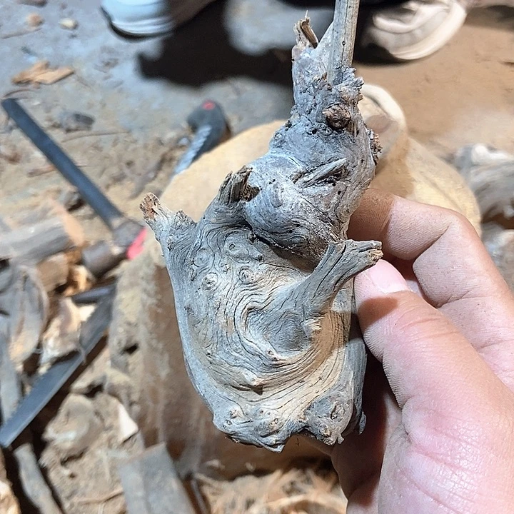 柏木感*t太行山去柏木木木