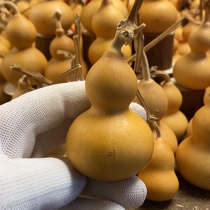 文玩葫芦 完美主义者 慎拍21