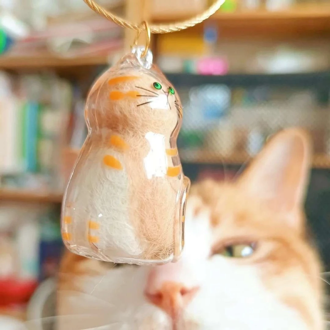 透明猫毛收纳盒吊饰扭蛋猫咪毛发存放胶囊扭蛋包钥匙扣挂件收藏