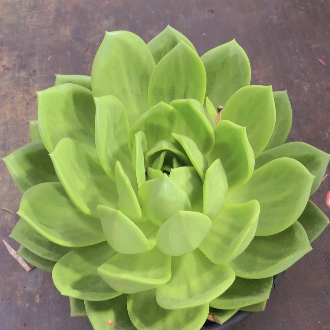 哈****好0000000000000492