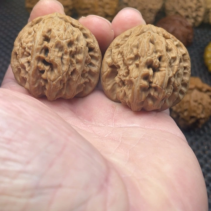 把件文玩核桃40全品白狮子