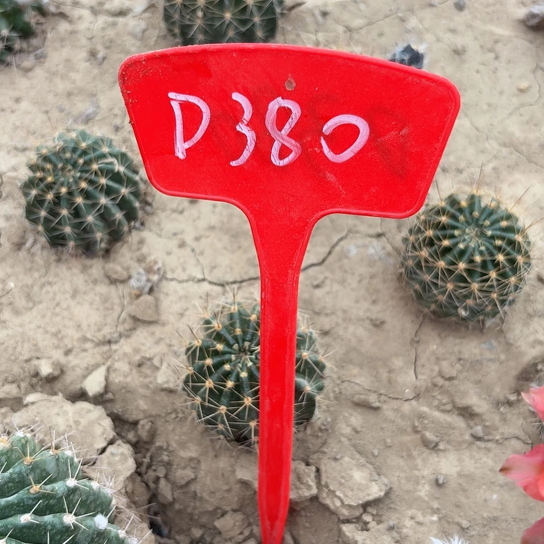D380,cc156瑕疵歪头3cm