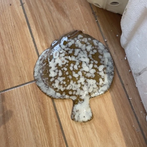 有机玻璃摆件摆件摆件摆件摆件不