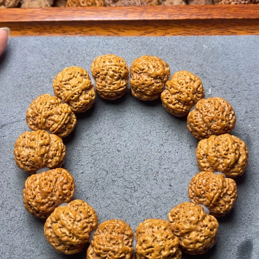 菩提28号金刚菩提雪花扇面六瓣23+
