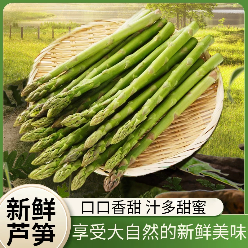 3斤装现采杭埠河绿芦笋脆甜鲜嫩