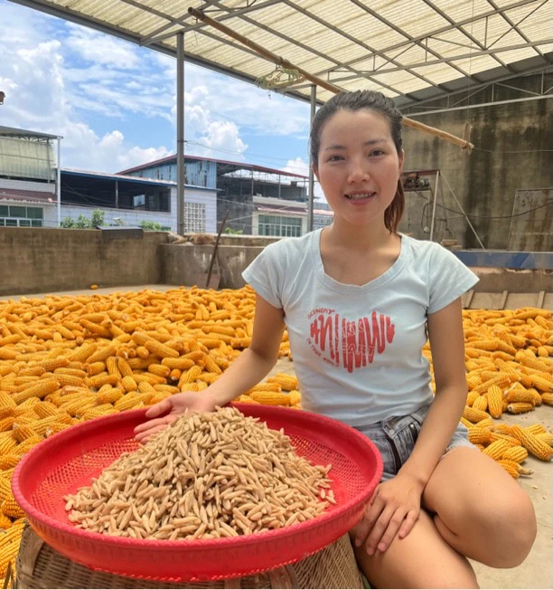 四川绵阳三台县农家自种正宗川麦冬