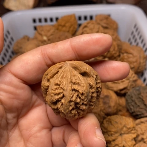 快***恼文玩核桃把件核桃