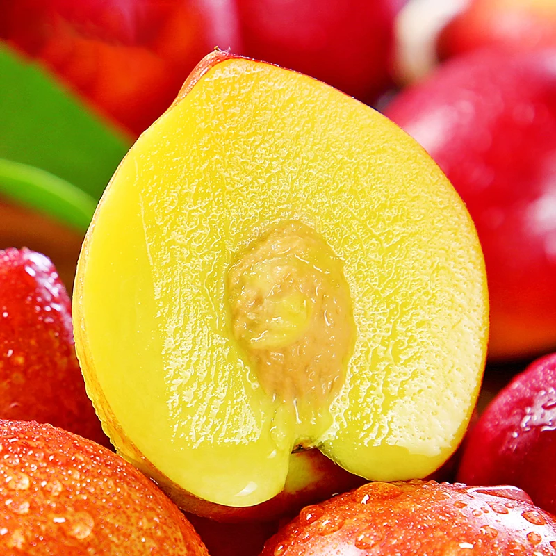 【本来果坊】山东红皮黄肉油桃新鲜水果桃子油桃黄心油桃产地直发