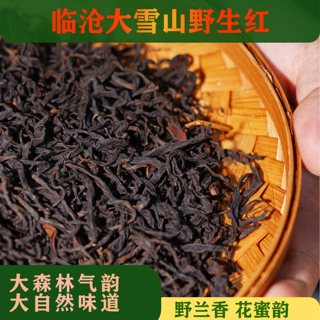 【荒野古树红茶】2025年临沧大雪山野生晒红