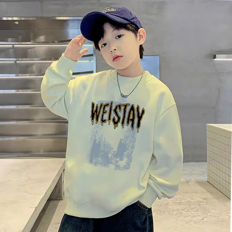 宝宝男童春秋保暖卫衣宽松秋冬款2025新款爆款中大童帅气儿童服装