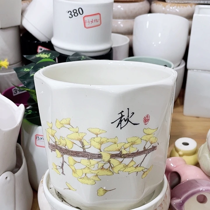 花盆花盆花盆满12包邮