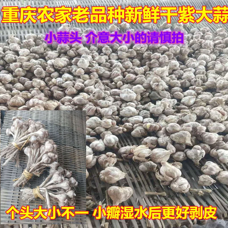 正宗农家土蒜小蒜头四月蒜香蒜头自己留种老品种蒜子
