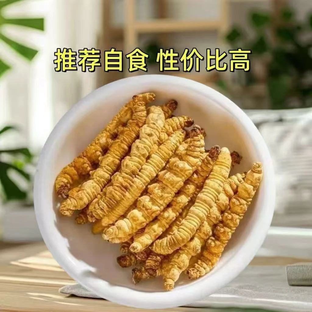 【Z】冬虫夏草 干断草全肉自用性价比