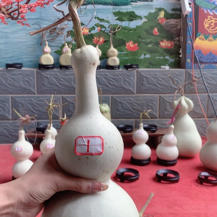 小***蓝中号尺寸的尺寸大小尺寸
