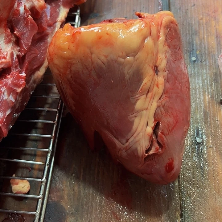 广西土耕马马肉中国大陆