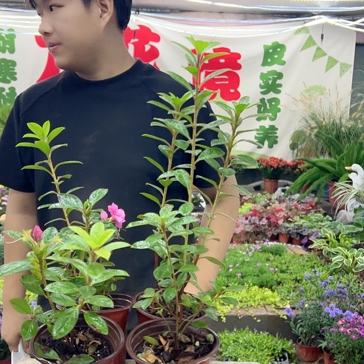 完全开放直播间一物一拍无售后