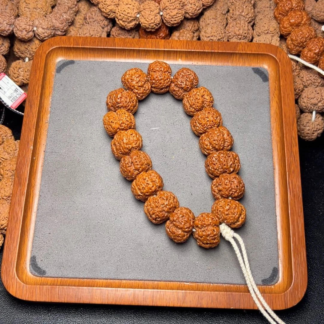 常***菩提7号尼泊尔大金刚22梅花粗筋五龙