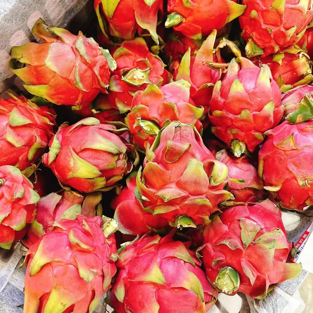 红心火龙果（5元4枚）单果170左右黑龙江省