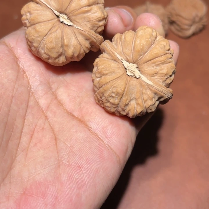 核桃43全品南瓜核桃