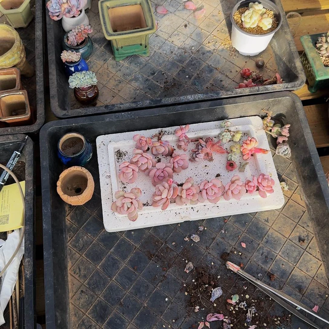 x**i哈哈哈哈哈哈哈哈哈哈