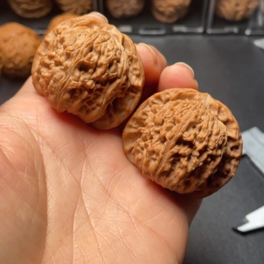 【闪购商品】把件文玩核桃雾***来白狮子………