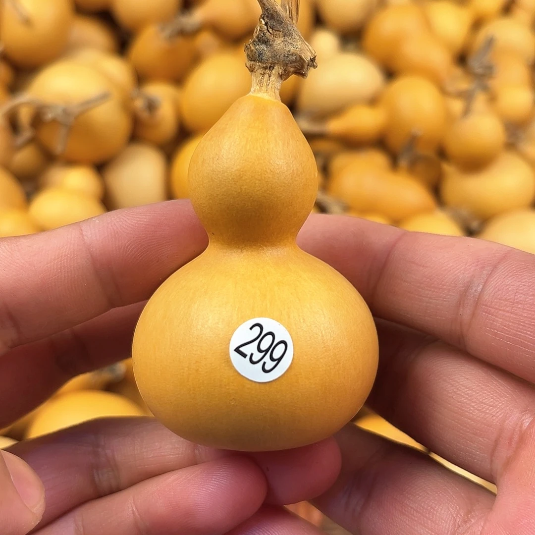 三葫芦葫芦葫芦葫芦 299