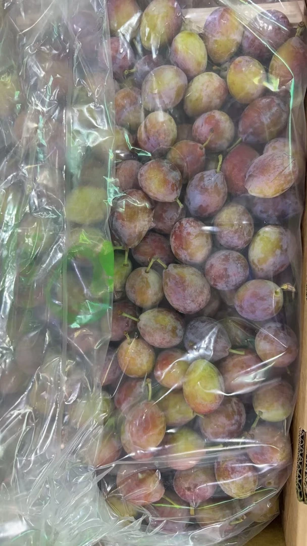 【敏敏】【精选】西梅鲜甜多汁
