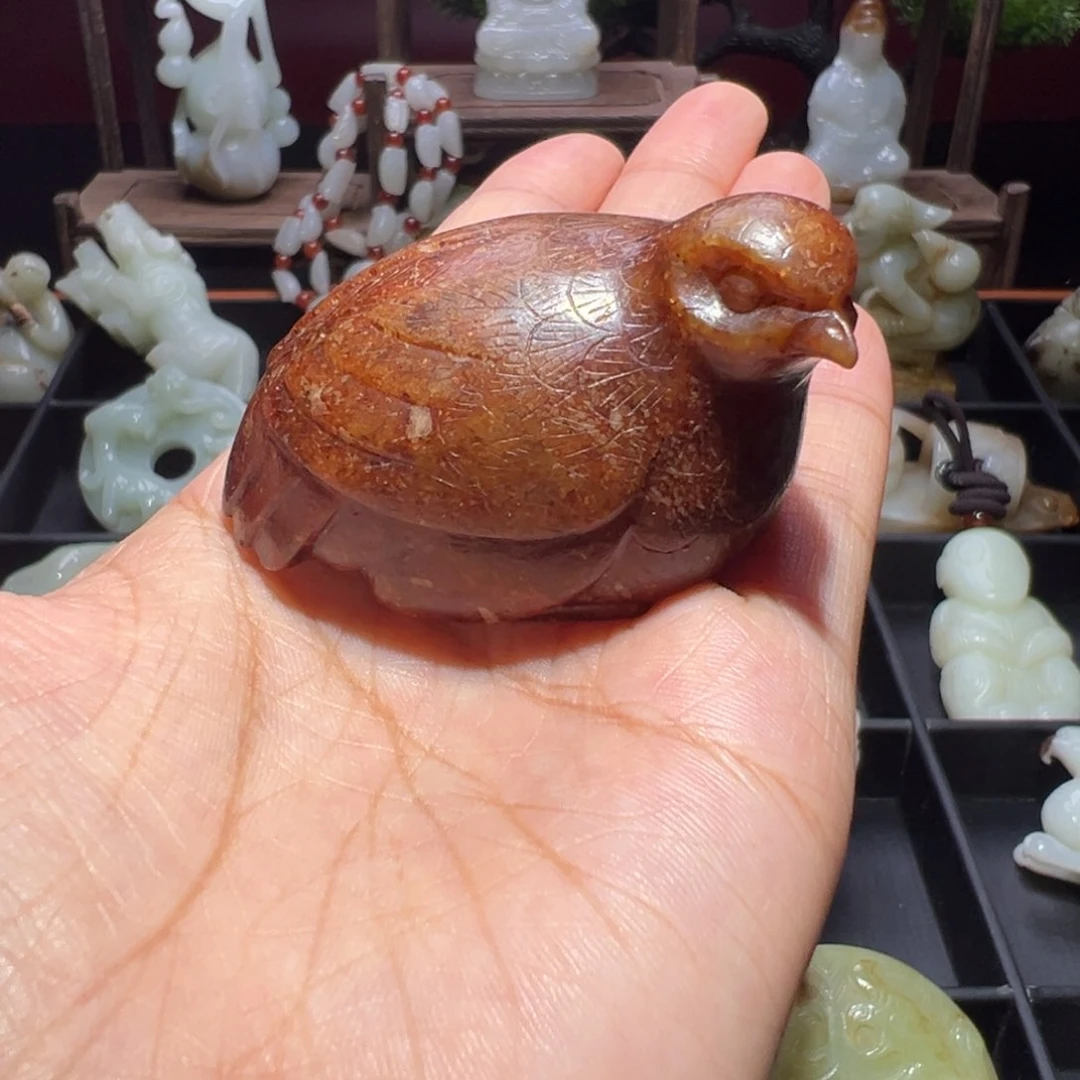 缸一物一图 所见所得