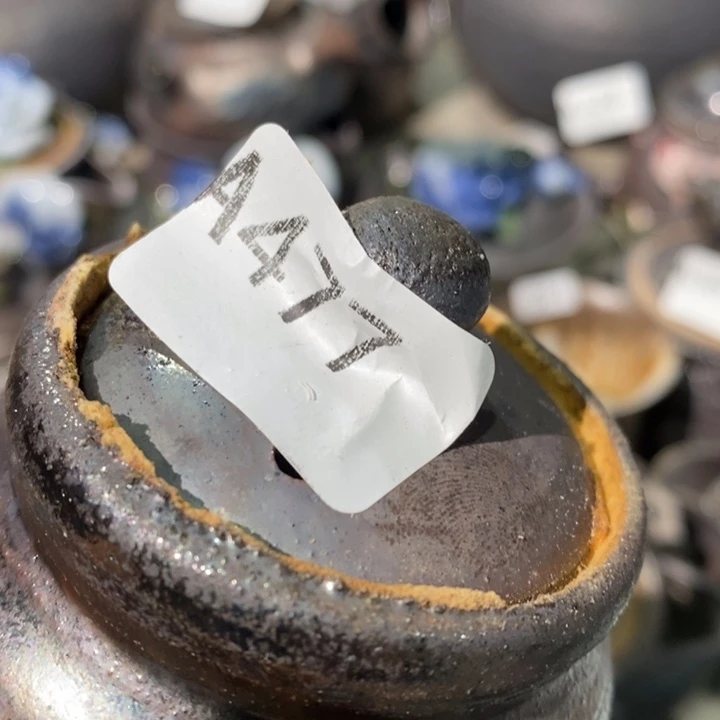 沅***礼柴烧裸烧源头产地