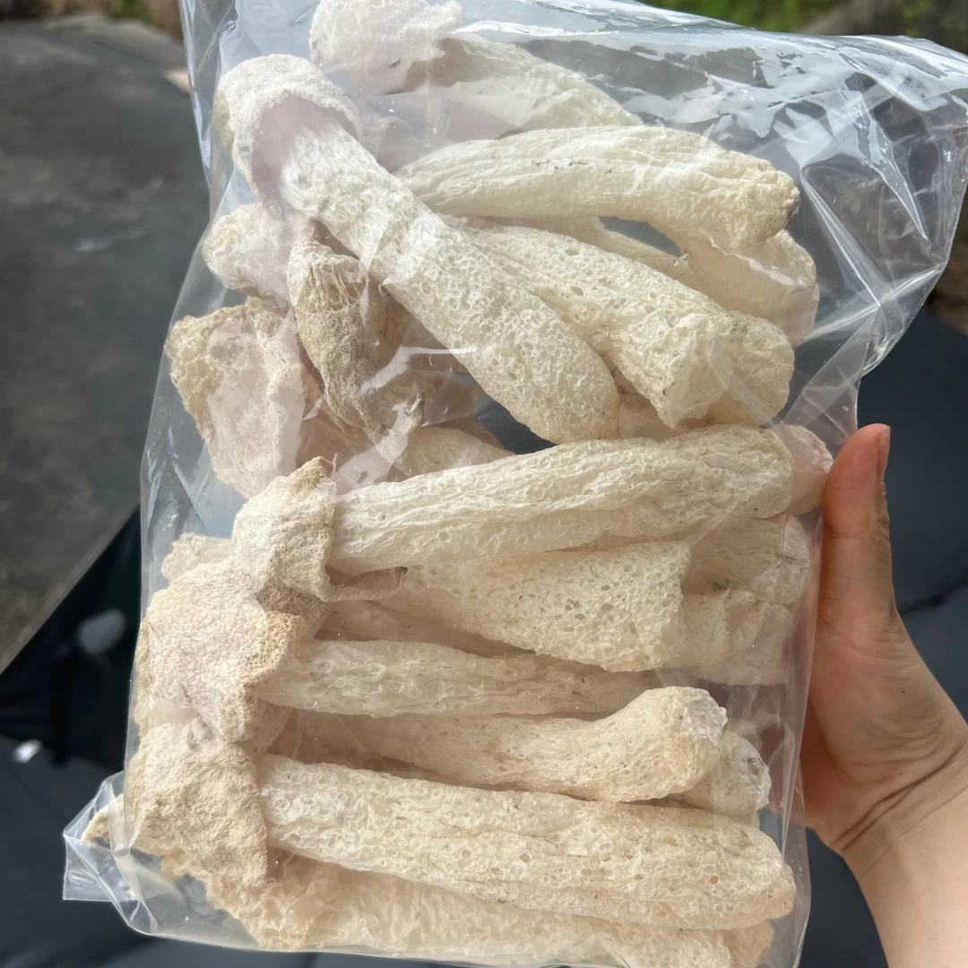 【菇蕾净重50克】2025年新鲜竹荪干货农家批发新鲜煲汤竹笙火锅食材