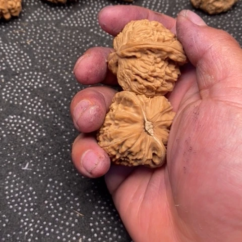 文玩核桃把件白狮子头30
