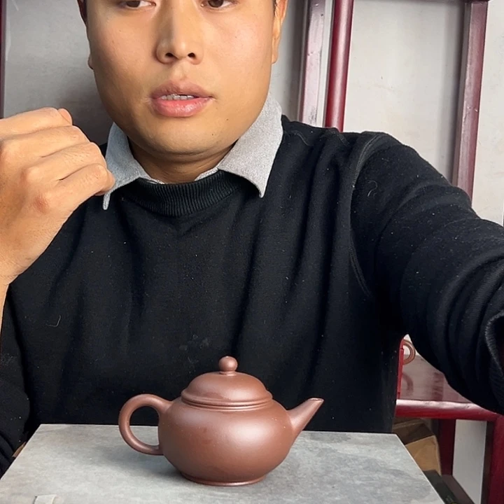 紫砂茶壶宜兴原矿紫泥水平