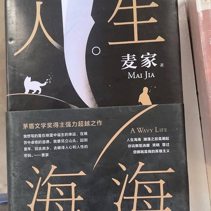 人生海海全新精装