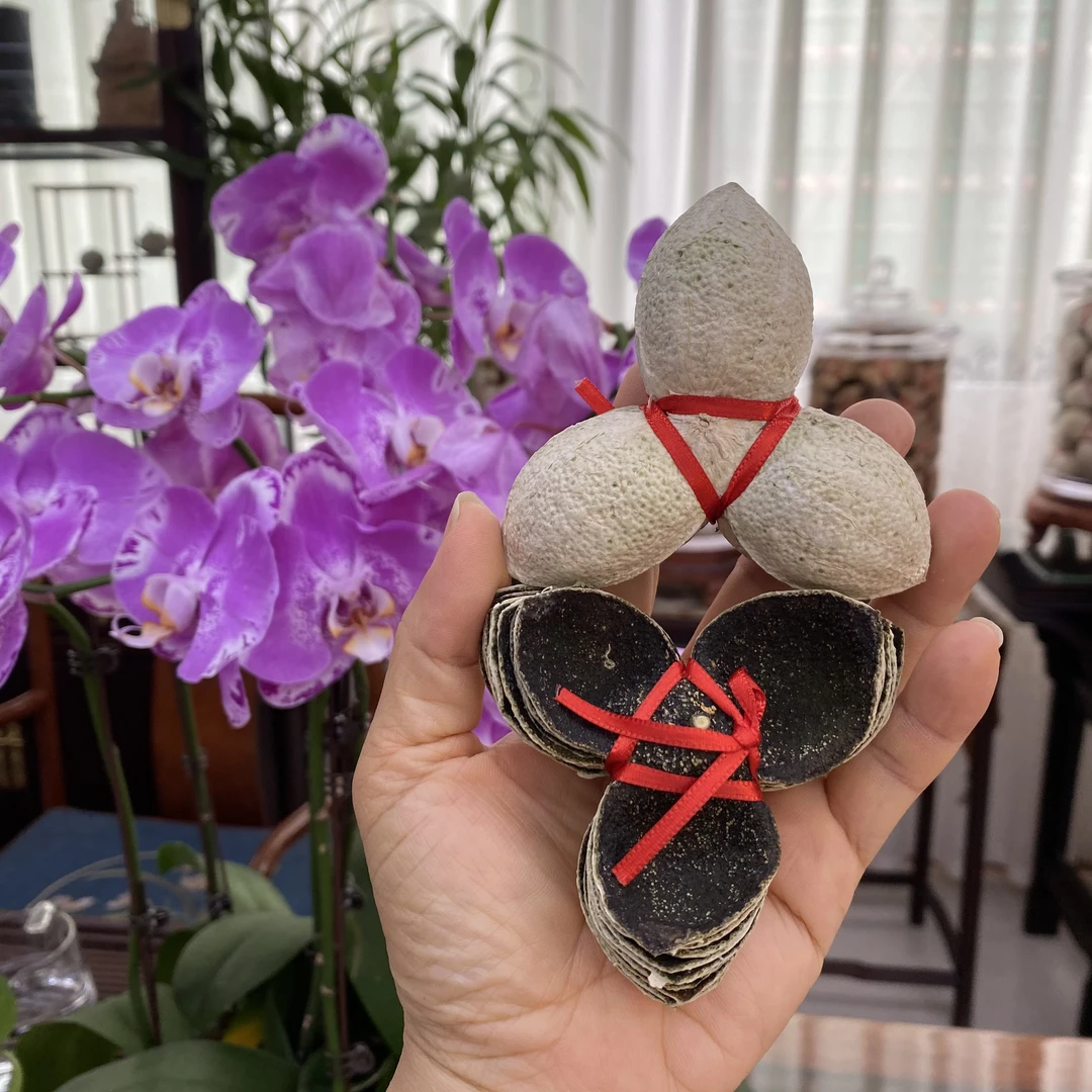 2025年梅江圈枝小青扎皮（立秋采摘）