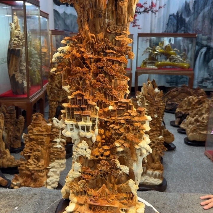 *****柏木（崖柏）崖柏1111111